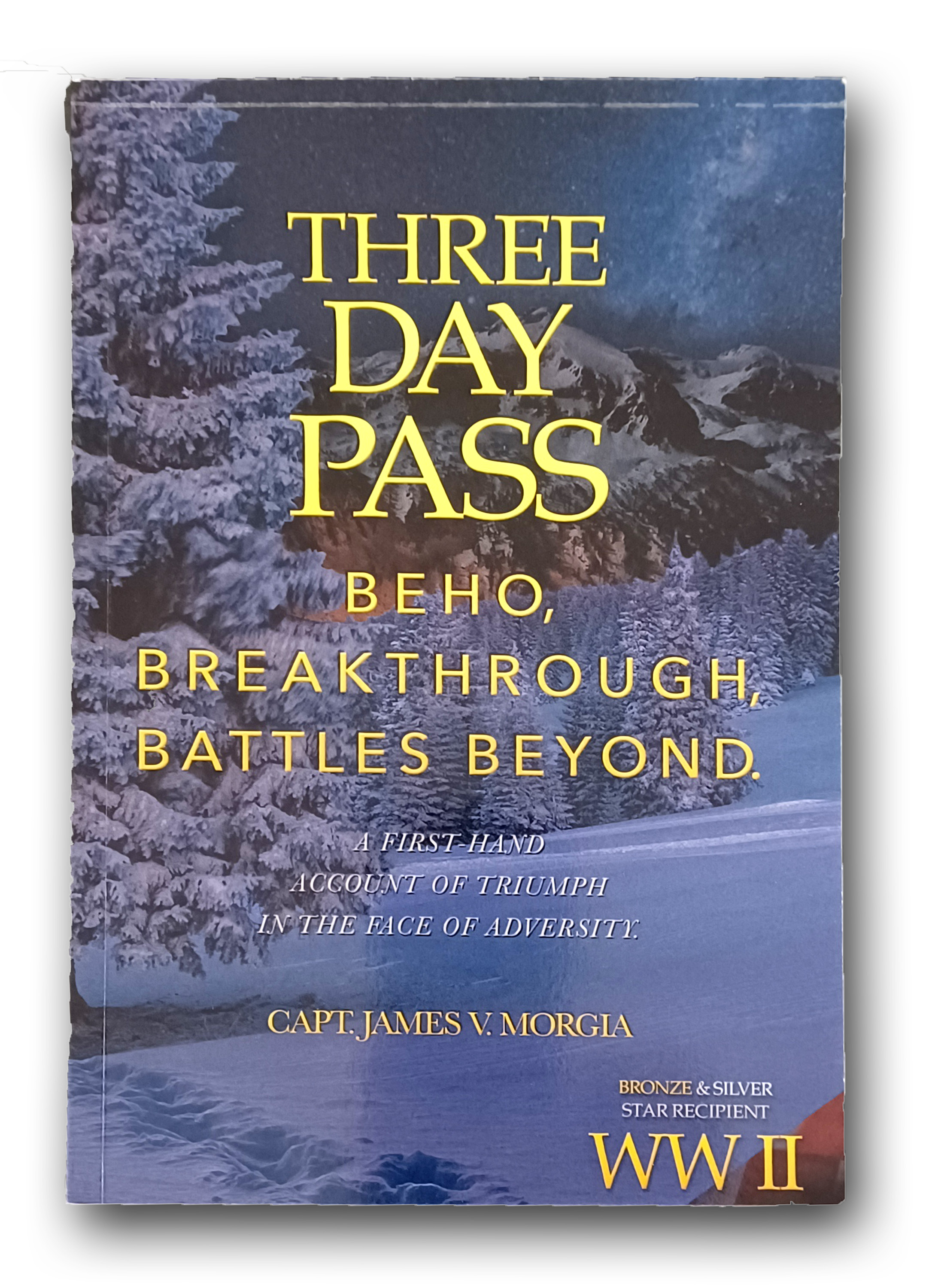 Three Day Pass by Capt. James V. Morgia U.S. Army.jpg